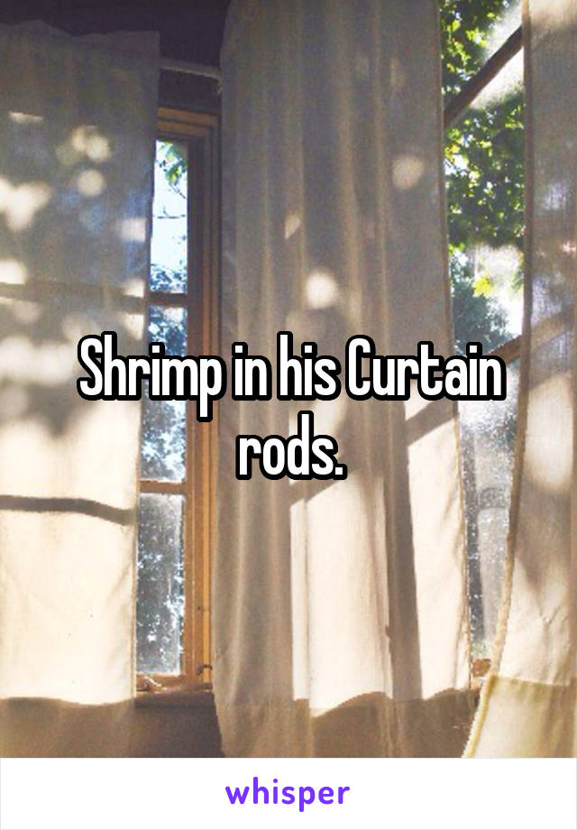 Shrimp in his Curtain rods.