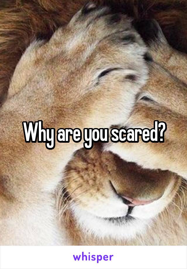 Why are you scared?