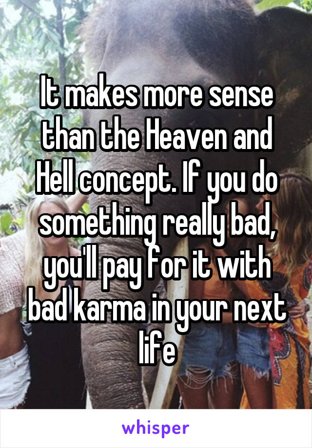 It makes more sense than the Heaven and Hell concept. If you do something really bad, you'll pay for it with bad karma in your next life
