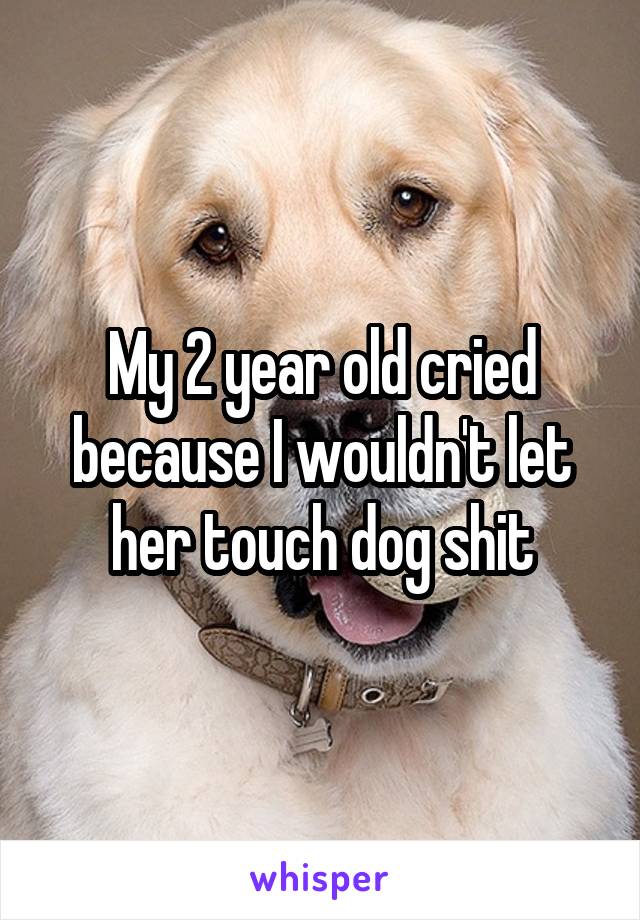 My 2 year old cried because I wouldn't let her touch dog shit