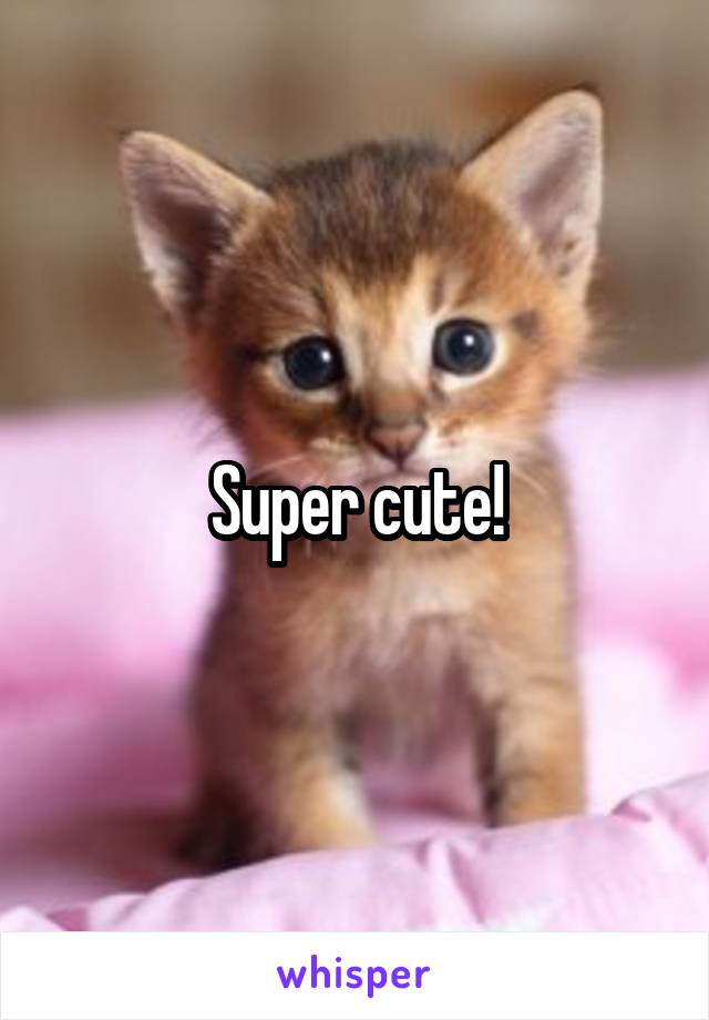 Super cute!