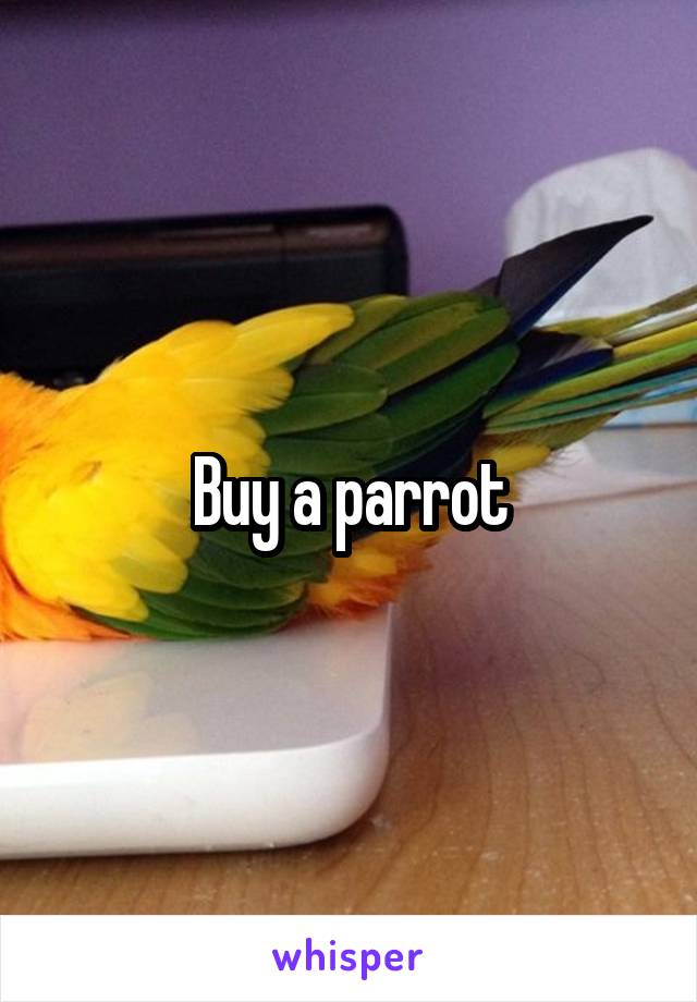 Buy a parrot