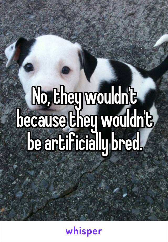 No, they wouldn't because they wouldn't be artificially bred.