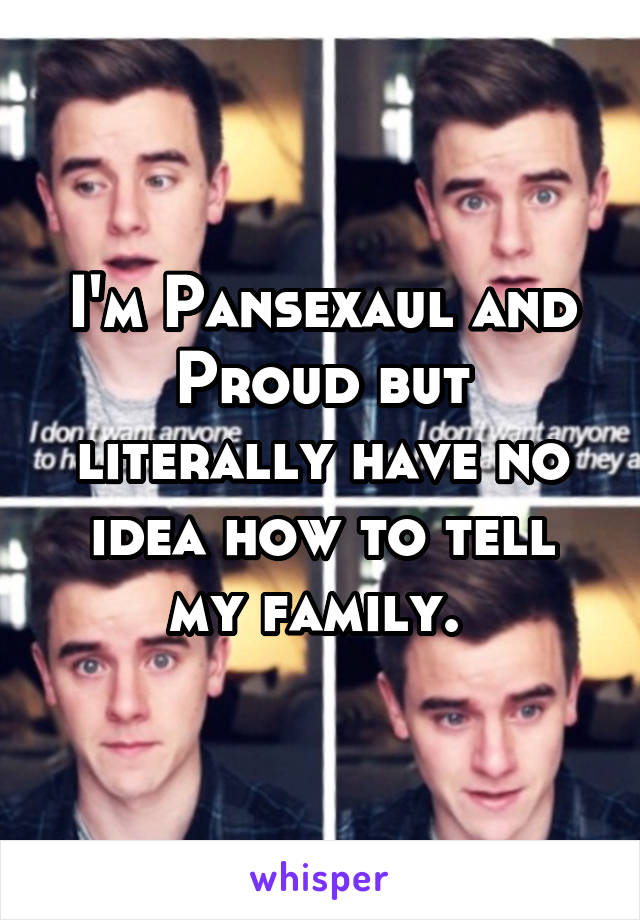 I'm Pansexaul and Proud but literally have no idea how to tell my family. 