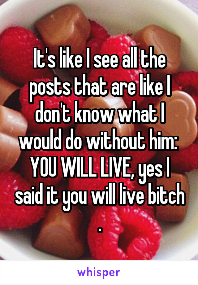 It's like I see all the posts that are like I don't know what I would do without him: 
YOU WILL LIVE, yes I said it you will live bitch .