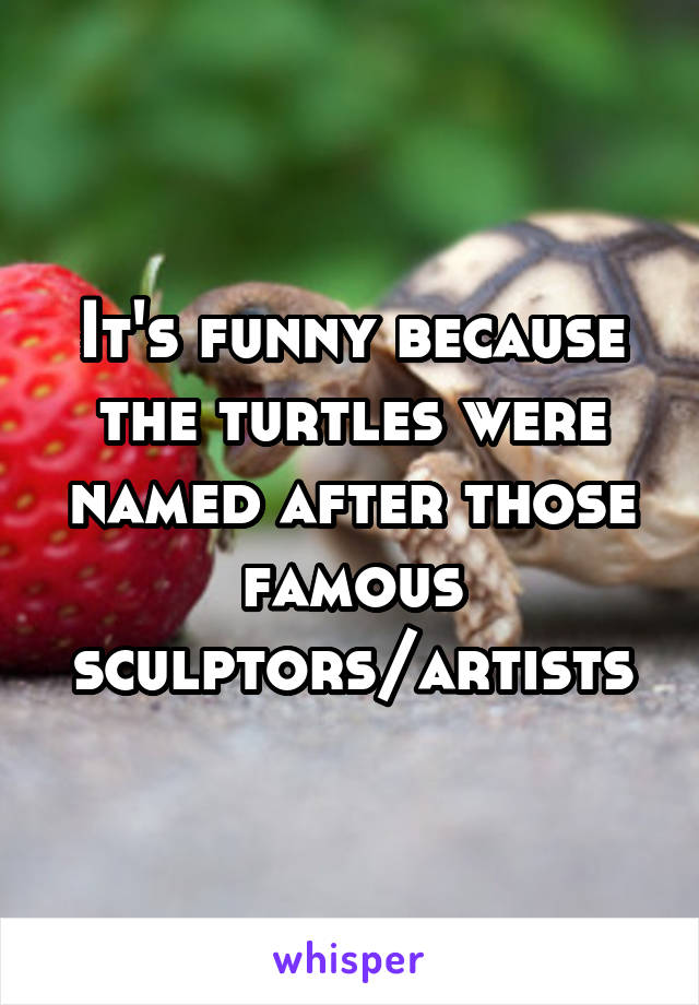 It's funny because the turtles were named after those famous sculptors/artists