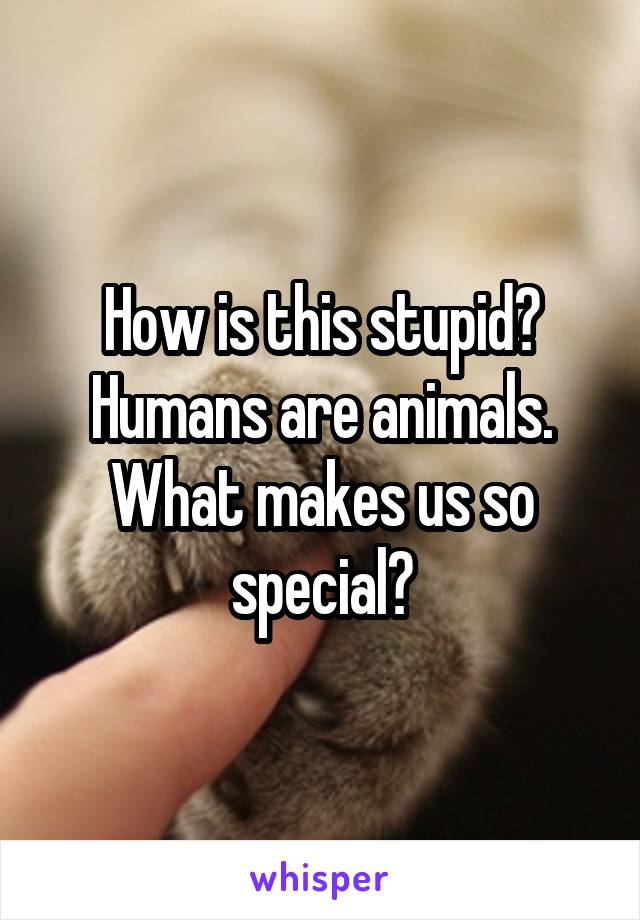 How is this stupid? Humans are animals. What makes us so special?