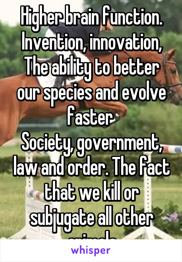 Higher brain function. Invention, innovation, The ability to better our species and evolve faster 
Society, government, law and order. The fact that we kill or subjugate all other animals