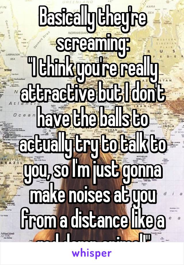 Basically they're screaming:
"I think you're really attractive but I don't have the balls to actually try to talk to you, so I'm just gonna make noises at you from a distance like a god damn animal!"