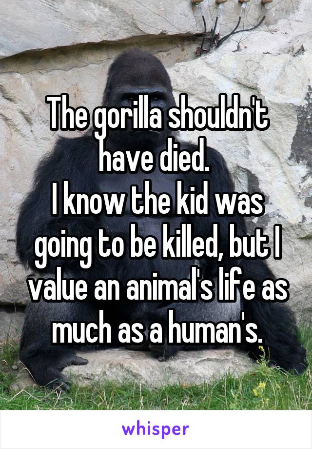 The gorilla shouldn't have died. 
I know the kid was going to be killed, but I value an animal's life as much as a human's.