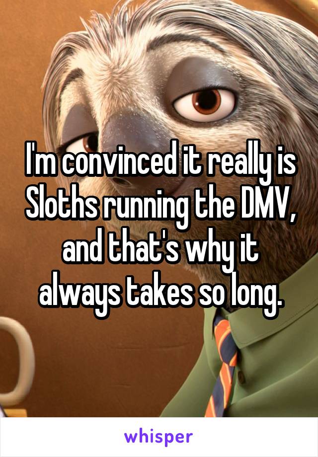 I'm convinced it really is Sloths running the DMV, and that's why it always takes so long.