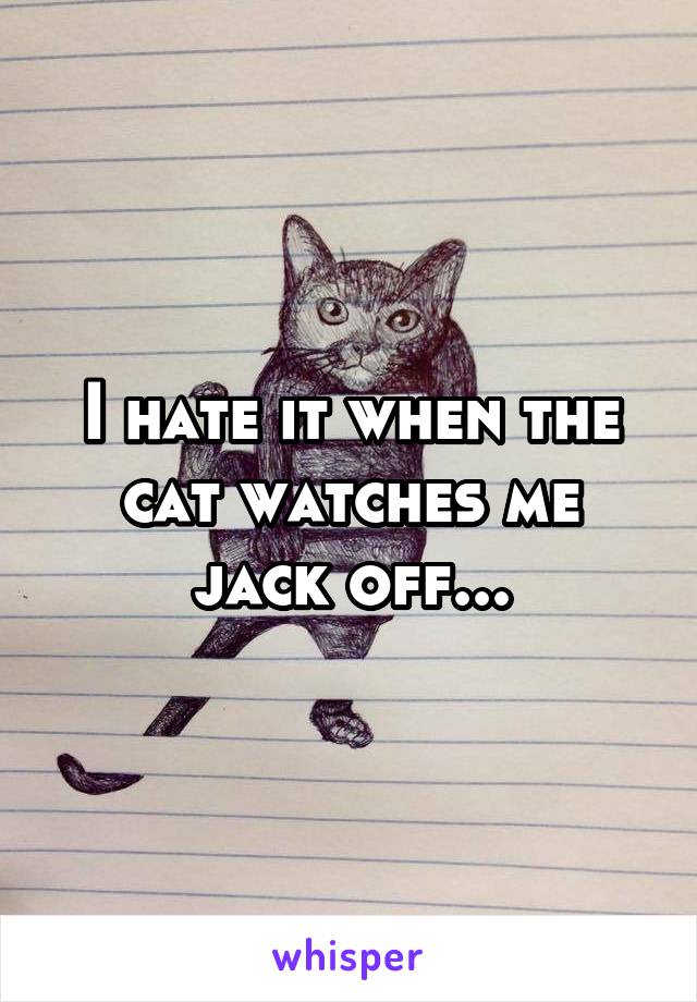 I hate it when the cat watches me jack off...