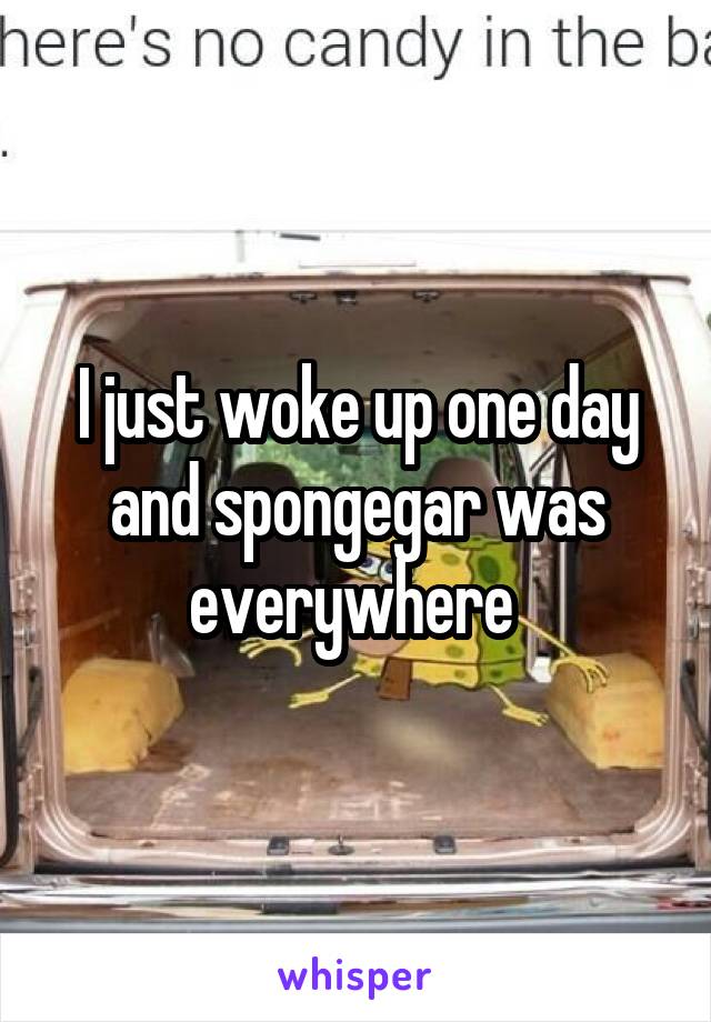 I just woke up one day and spongegar was everywhere 