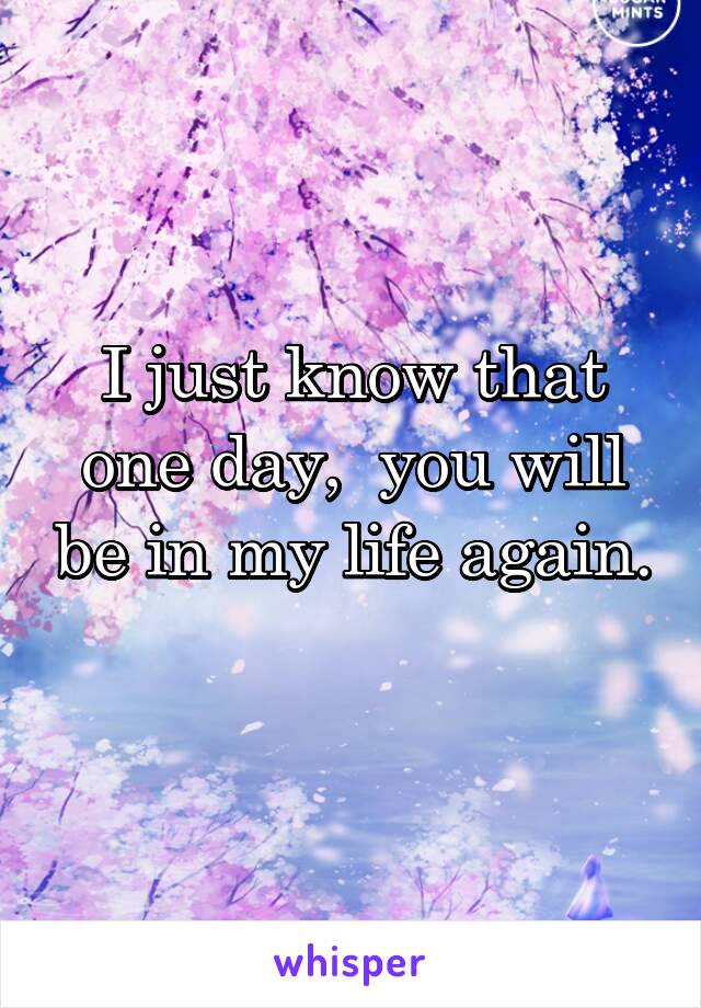 I just know that one day,  you will be in my life again. 