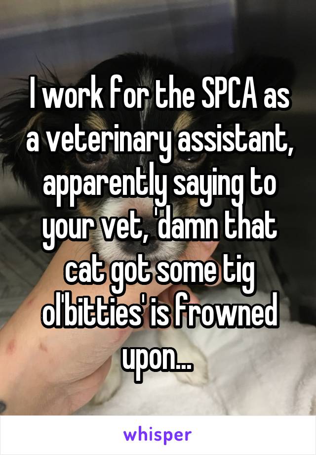 I work for the SPCA as a veterinary assistant, apparently saying to your vet, 'damn that cat got some tig ol'bitties' is frowned upon... 