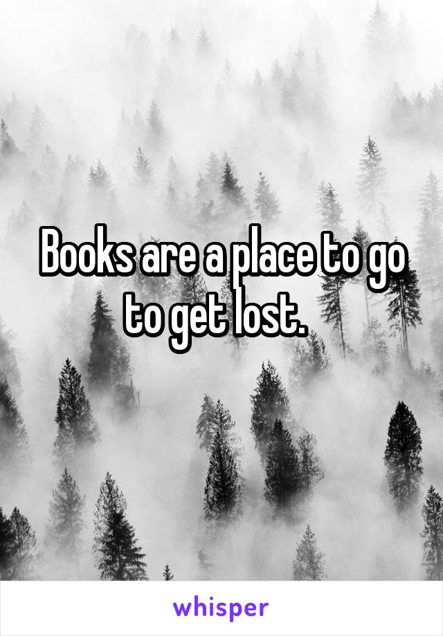Books are a place to go to get lost.  
