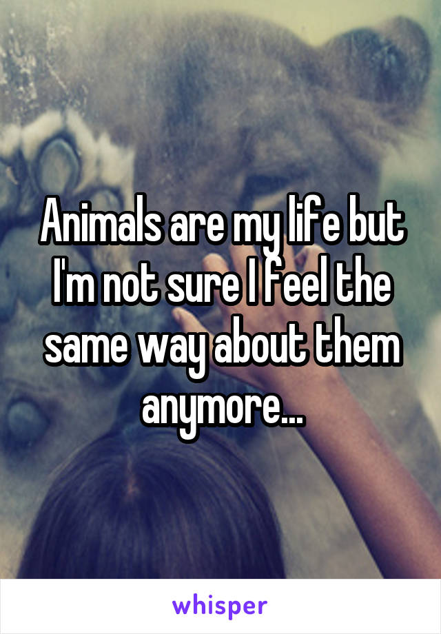 Animals are my life but I'm not sure I feel the same way about them anymore...