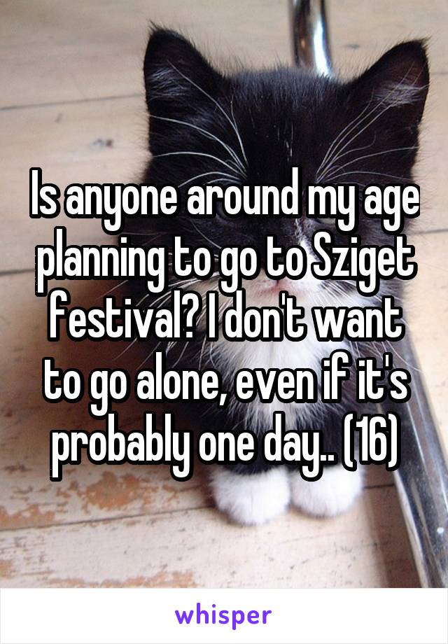 Is anyone around my age planning to go to Sziget festival? I don't want to go alone, even if it's probably one day.. (16)