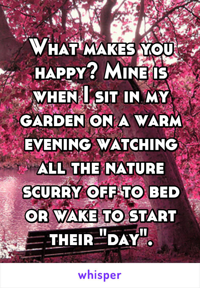 What makes you happy? Mine is when I sit in my garden on a warm evening watching all the nature scurry off to bed or wake to start their "day".