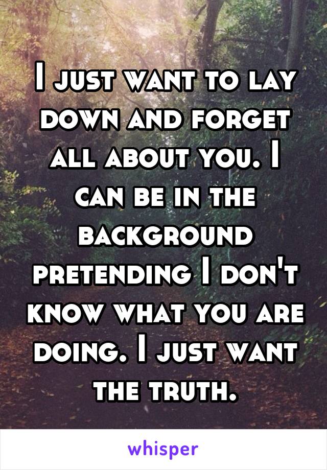 I just want to lay down and forget all about you. I can be in the background pretending I don't know what you are doing. I just want the truth.