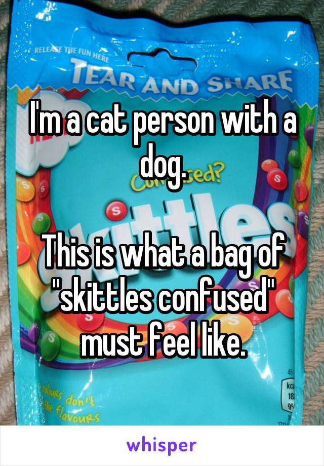 I'm a cat person with a dog.

This is what a bag of "skittles confused" must feel like.