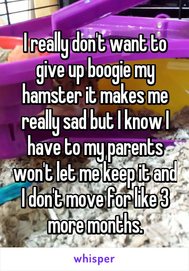 I really don't want to give up boogie my hamster it makes me really sad but I know I have to my parents won't let me keep it and I don't move for like 3 more months.