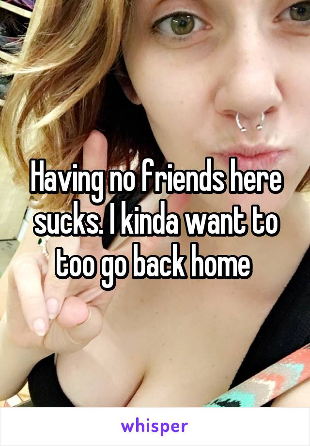 Having no friends here sucks. I kinda want to too go back home 