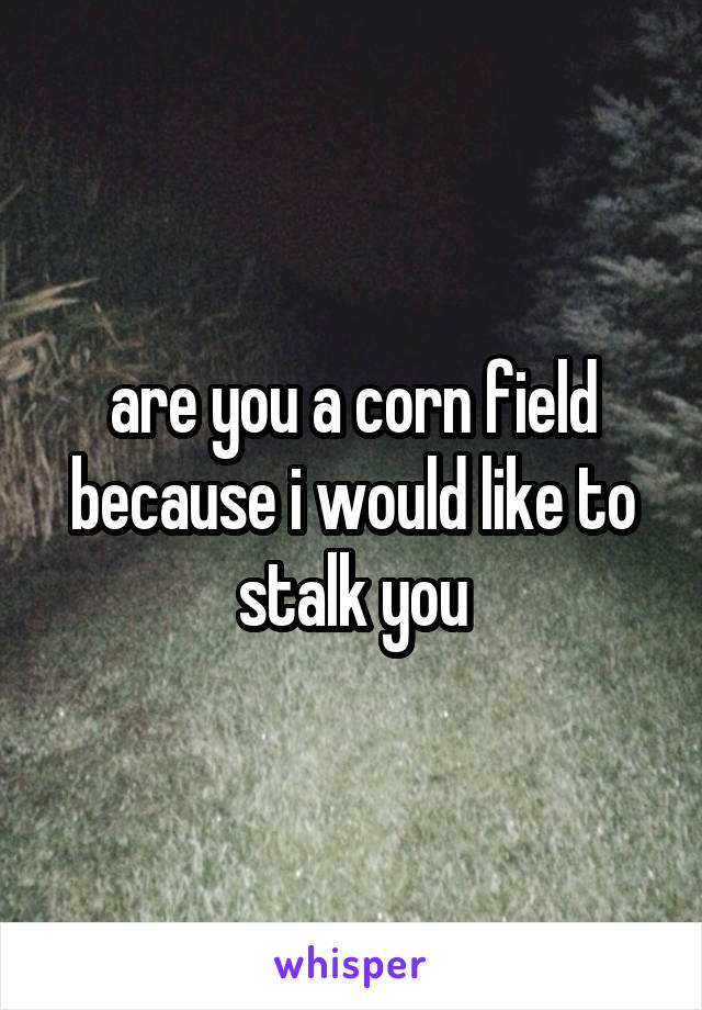 are you a corn field because i would like to stalk you