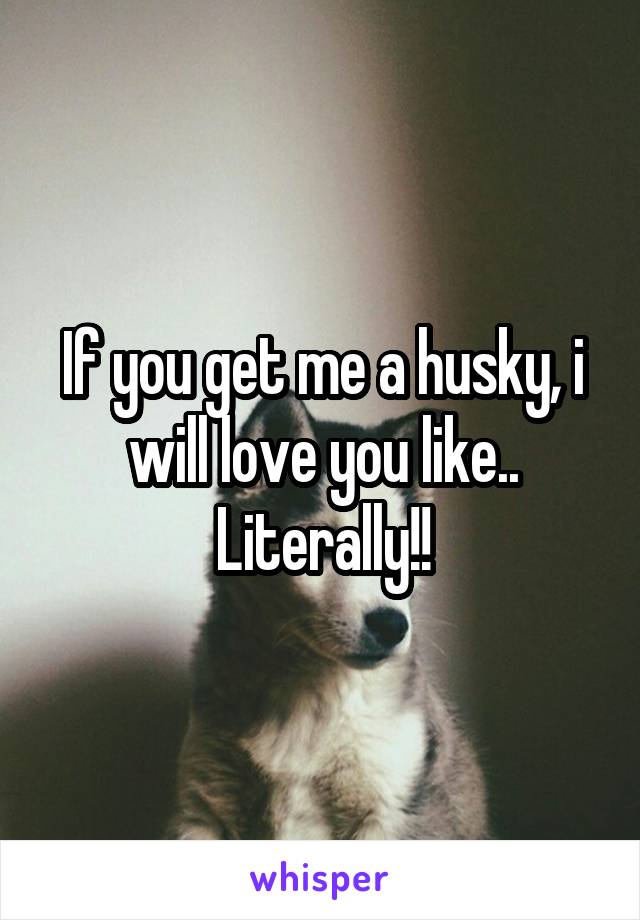 If you get me a husky, i will love you like.. Literally!!