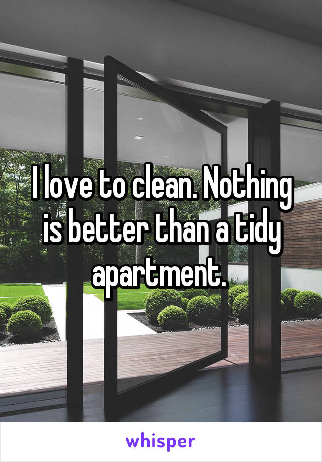 I love to clean. Nothing is better than a tidy apartment. 