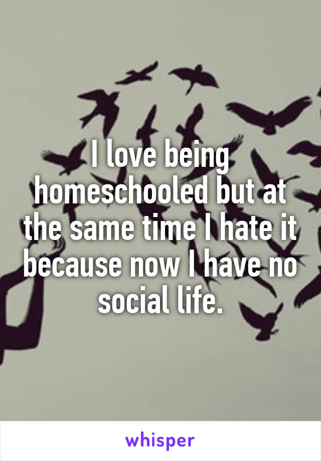 I love being homeschooled but at the same time I hate it because now I have no social life.