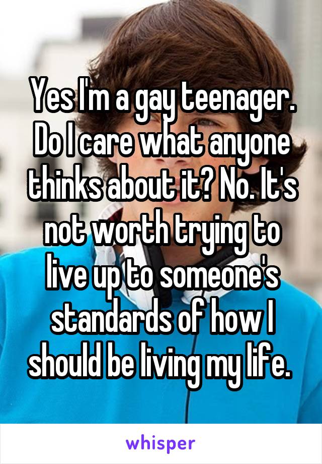 Yes I'm a gay teenager. Do I care what anyone thinks about it? No. It's not worth trying to live up to someone's standards of how I should be living my life. 