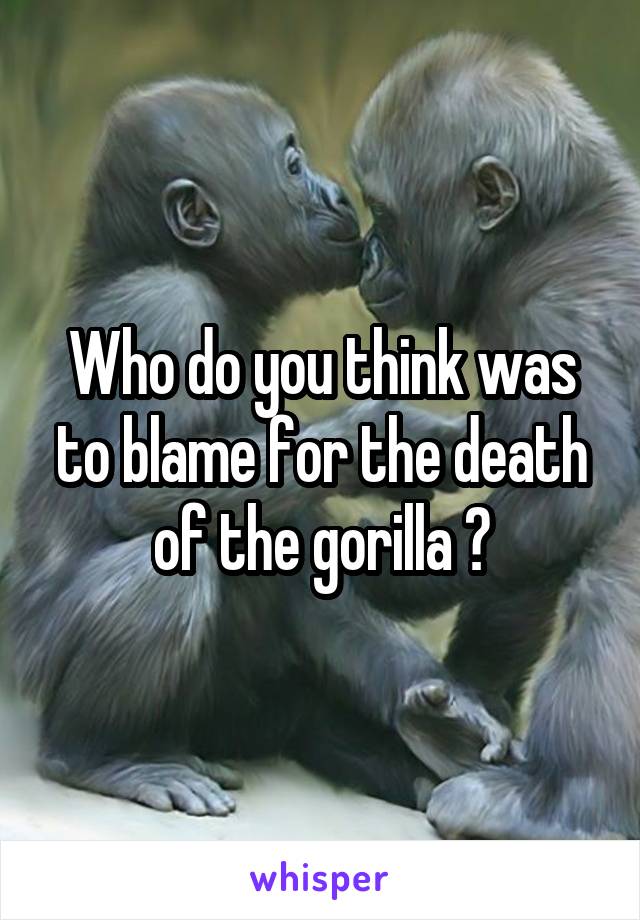 Who do you think was to blame for the death of the gorilla ?