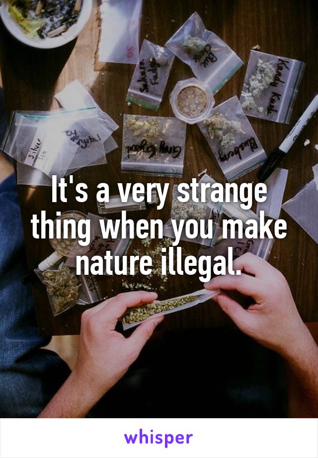 It's a very strange thing when you make nature illegal.