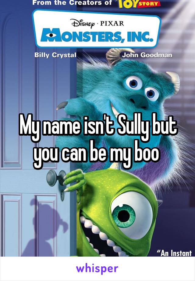 My name isn't Sully but you can be my boo 