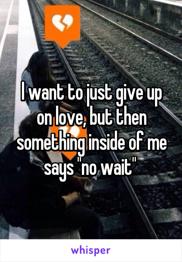 I want to just give up on love, but then something inside of me says "no wait" 