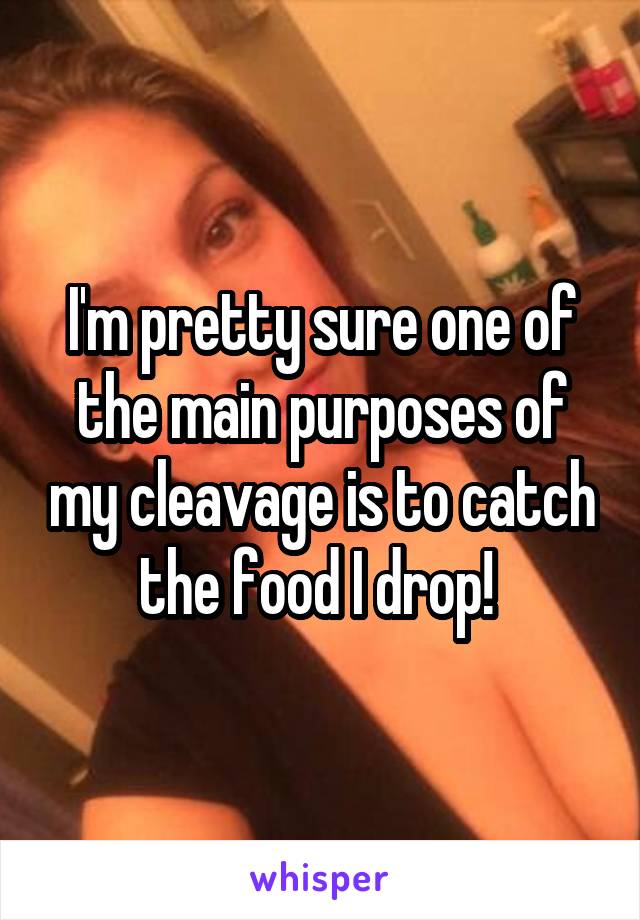 I'm pretty sure one of the main purposes of my cleavage is to catch the food I drop! 