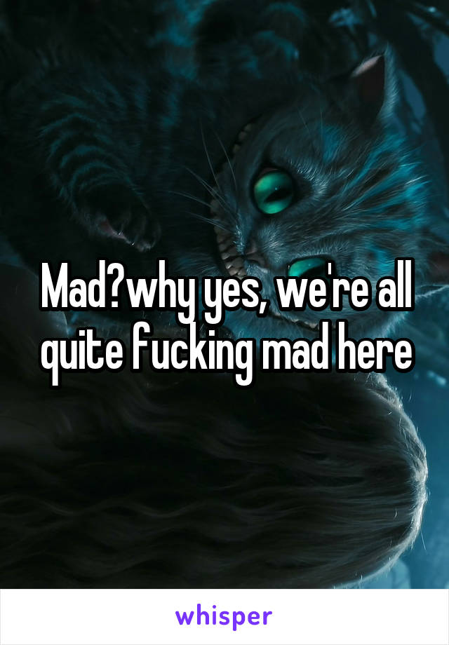 Mad?why yes, we're all quite fucking mad here