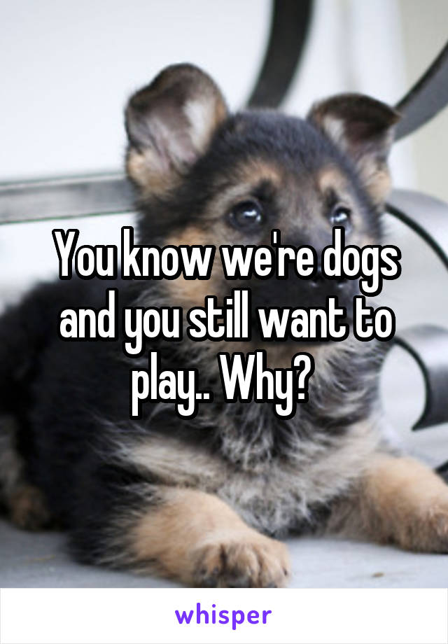 You know we're dogs and you still want to play.. Why? 