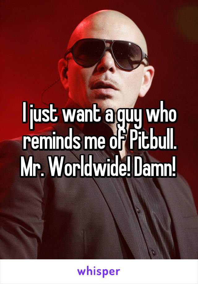 I just want a guy who reminds me of Pitbull. Mr. Worldwide! Damn! 