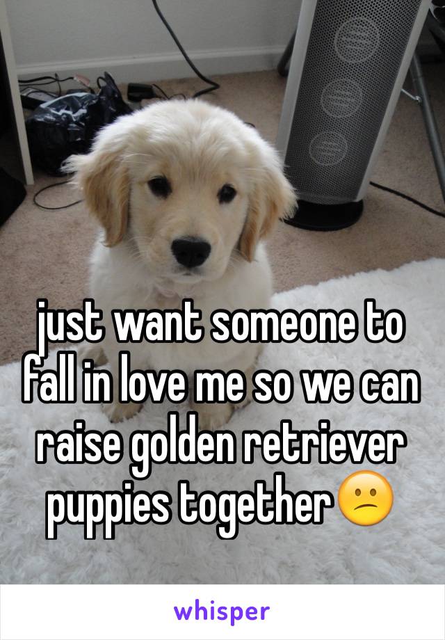 just want someone to fall in love me so we can raise golden retriever puppies together😕