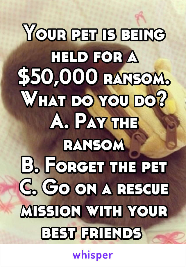 Your pet is being held for a $50,000 ransom. What do you do?
A. Pay the ransom
B. Forget the pet
C. Go on a rescue mission with your best friends 