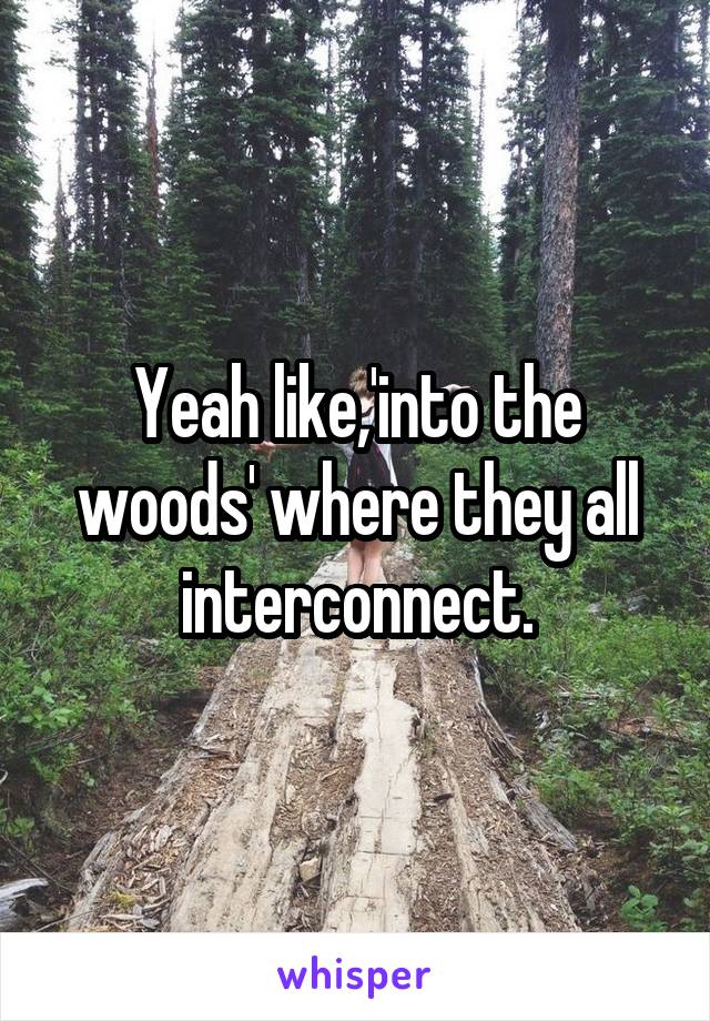 Yeah like,'into the woods' where they all interconnect.