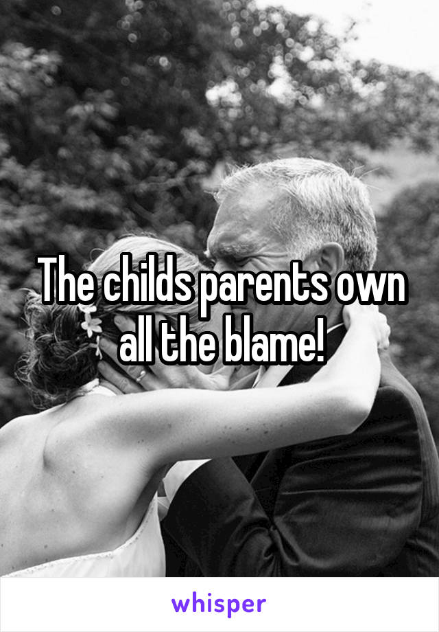 The childs parents own all the blame!