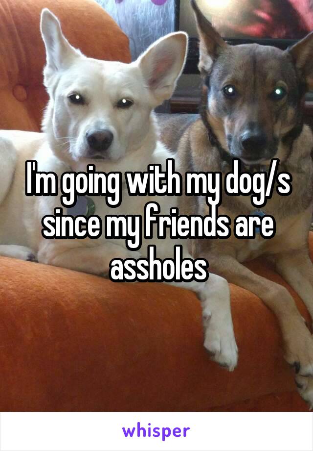 I'm going with my dog/s since my friends are assholes