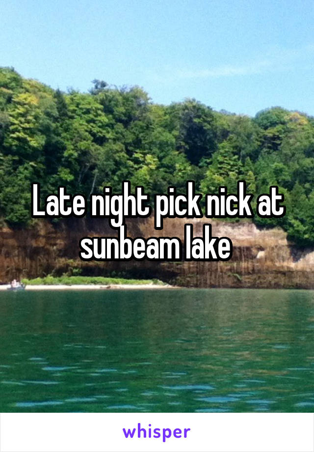 Late night pick nick at sunbeam lake 
