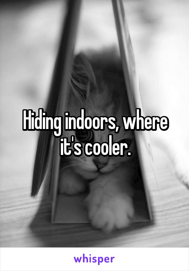 Hiding indoors, where it's cooler.