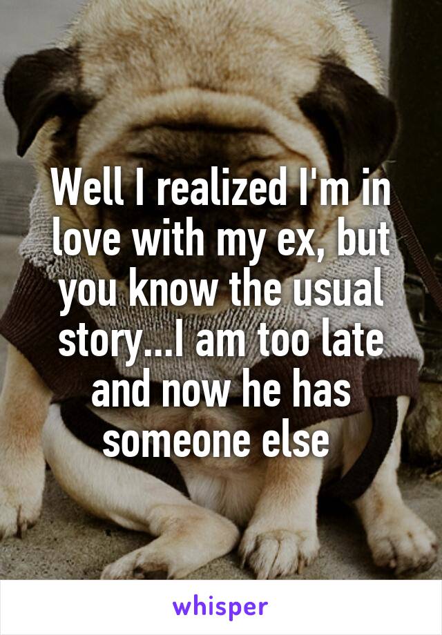 Well I realized I'm in love with my ex, but you know the usual story...I am too late and now he has someone else 