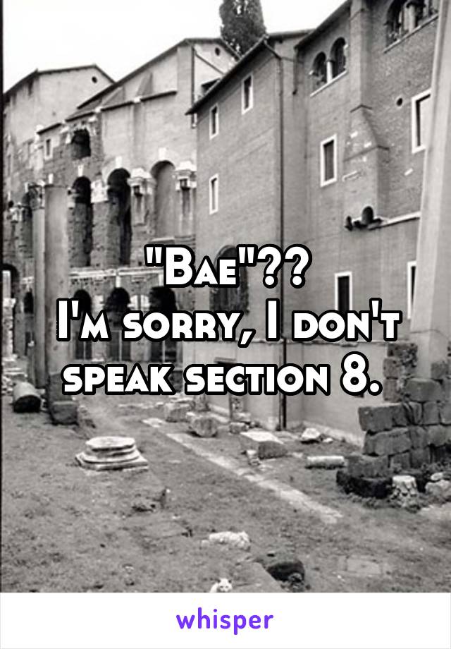 "Bae"??
I'm sorry, I don't speak section 8. 