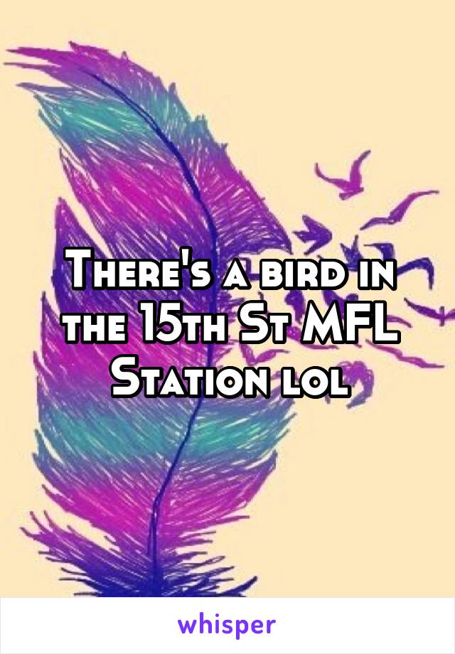 There's a bird in the 15th St MFL Station lol